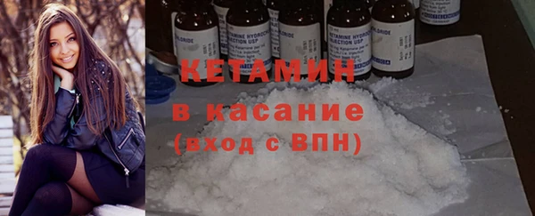 ПСИЛОЦИБИНОВЫЕ ГРИБЫ Абаза
