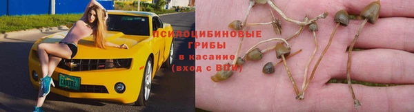 ПСИЛОЦИБИНОВЫЕ ГРИБЫ Абаза